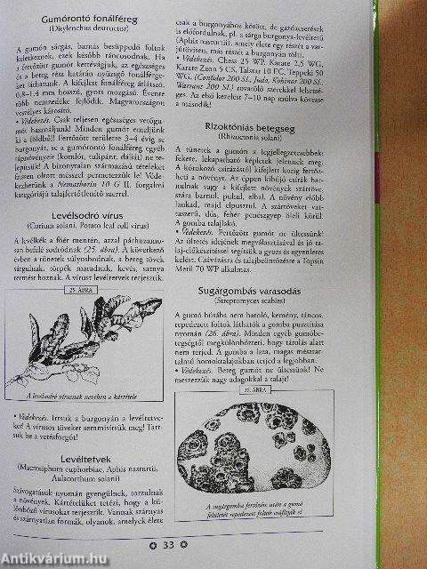 A növényvédelem ábécéje