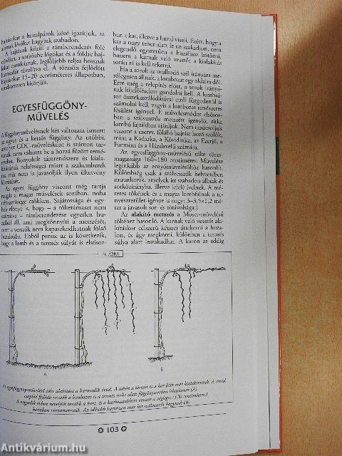 A metszés ábécéje