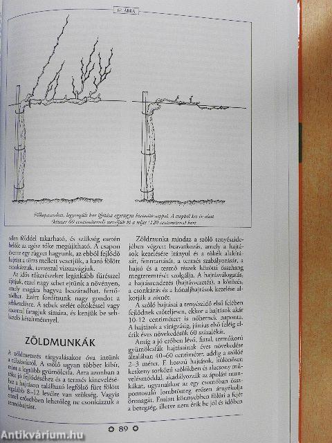 A metszés ábécéje