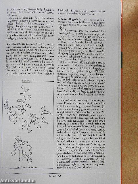 A metszés ábécéje