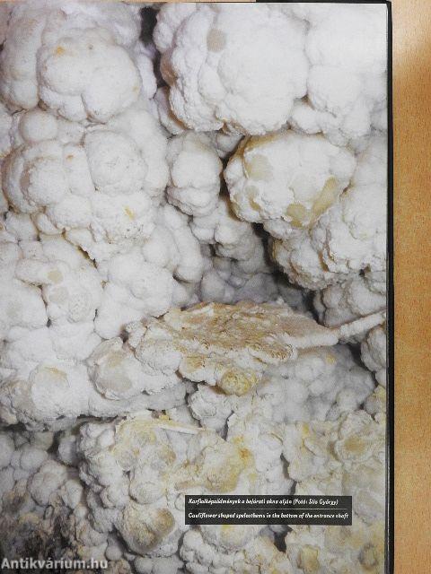 Felfedezések a föld alatt