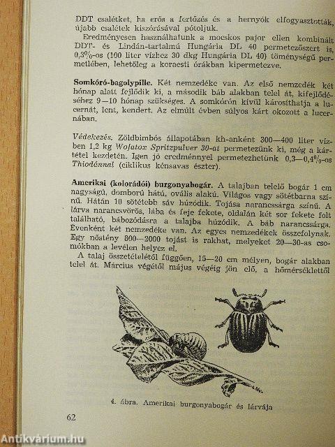 Permetezés, porozás