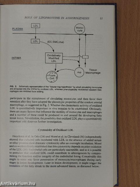 Hypercholesterolemia