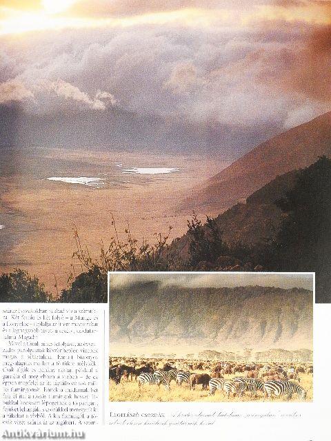 Varázslatos Föld körüli utazás