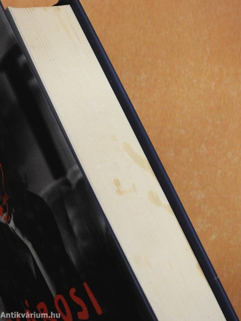 Városi rókák (dedikált példány)