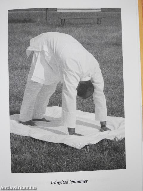 Belső gerinc (dedikált példány)