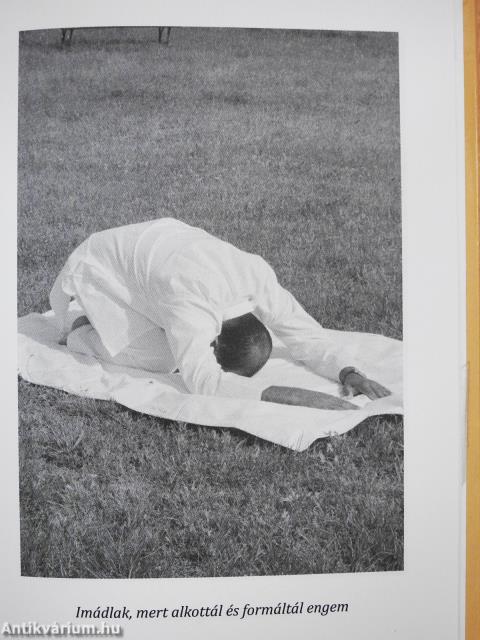 Belső gerinc (dedikált példány)