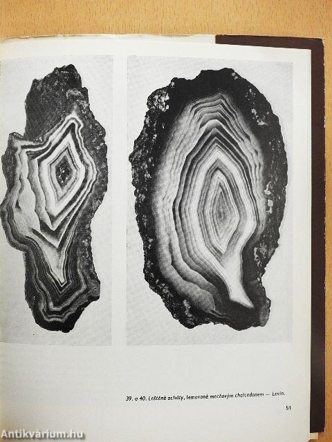 Nová Paka/Z Geologické Minulosti Novopacka