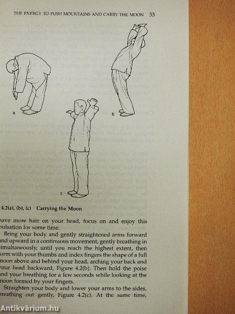 Chi Kung for Health and Vitality