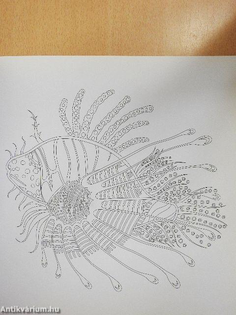 Atlantisz - Színes álmok