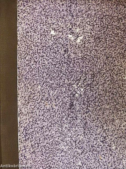 Die heilige Elisabeth (gótbetűs)