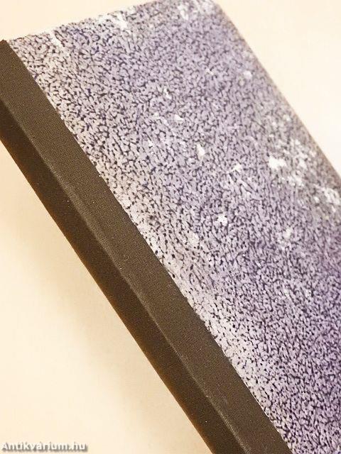 Die heilige Elisabeth (gótbetűs)