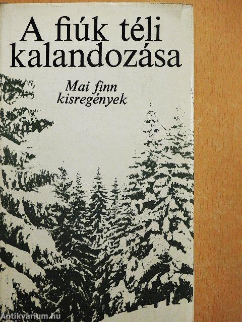 A fiúk téli kalandozása