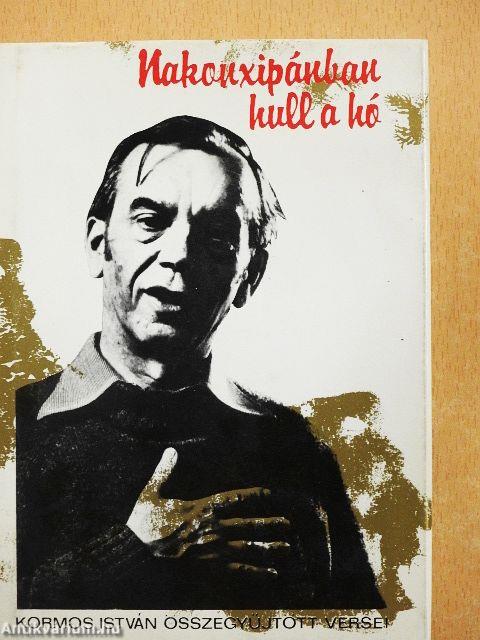 Nakonxipánban hull a hó