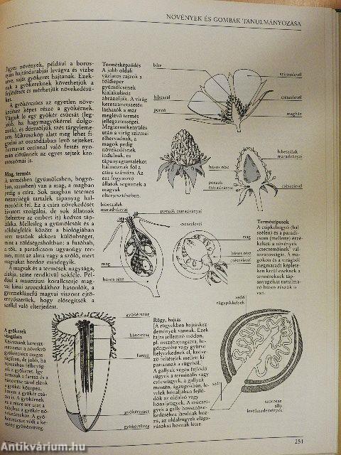 Az amatőr természetbúvár