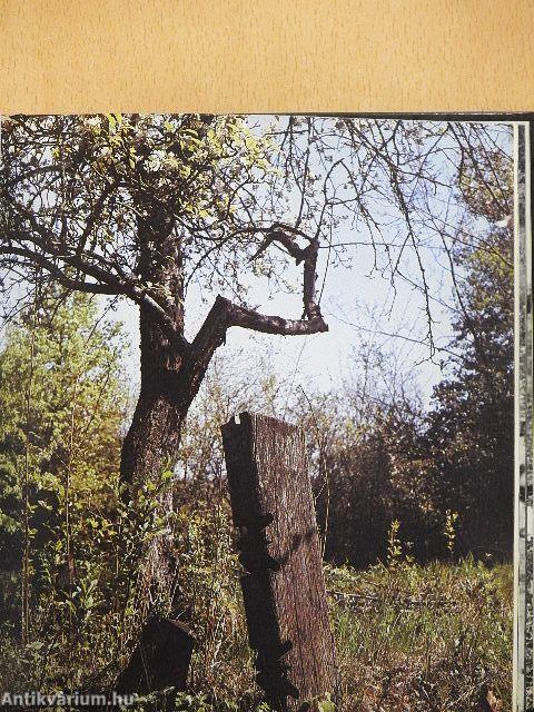 Temetők népművészete