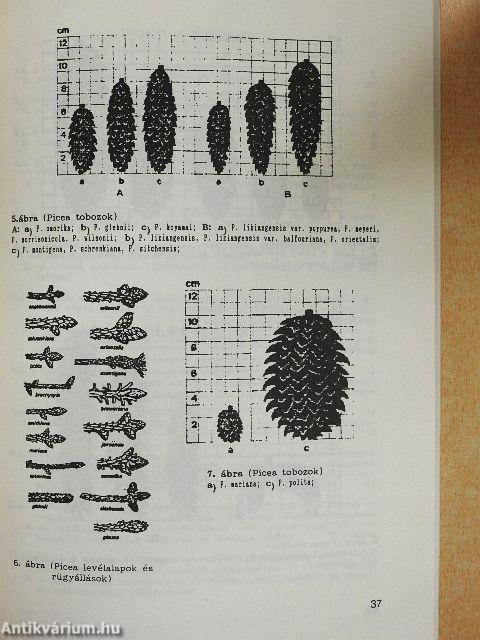 A nyitvatermők határozója