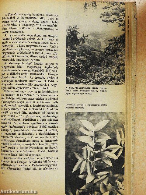 Lányok Évkönyve 1965