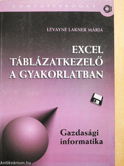 Excel táblázatkezelő a gyakorlatban