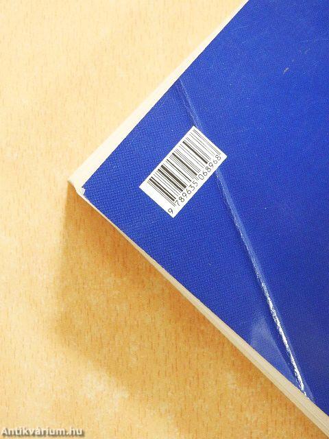 István király és műve