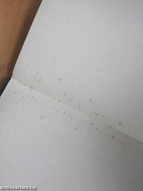 Mesterségem a halál