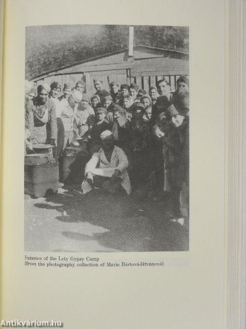 The Holocaust of Czech Roma