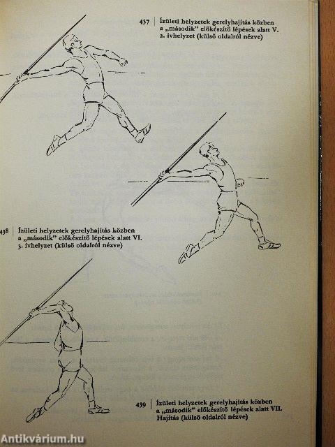 A sportmozgások anatómiai alapjai I-II.