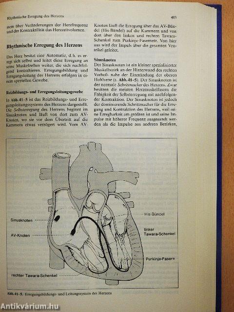 Anästhesie und Intensivmedizin