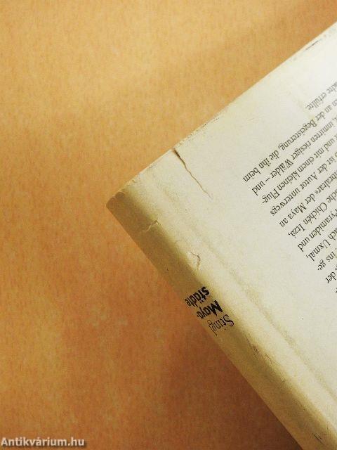 In versunkenen Mayastädten