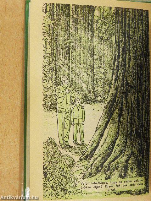 Vajon a jelenlegi élettel mindennek vége?