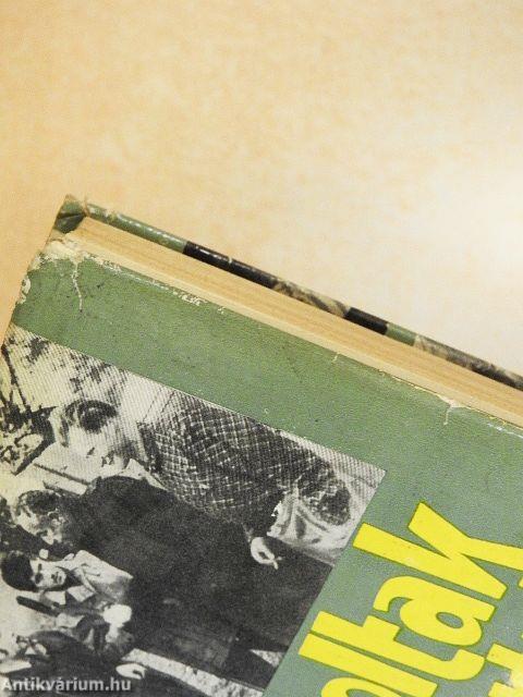 Kik voltak, mit akartak?