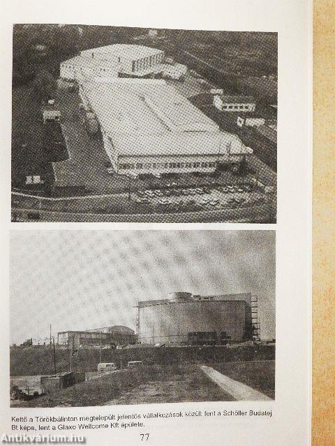 Törökbálint egykor és ma