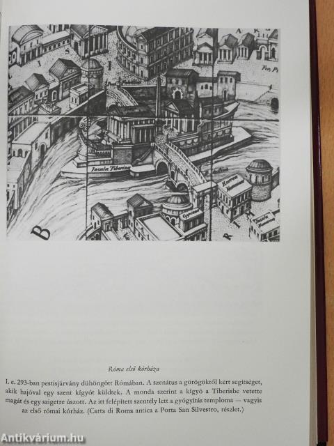 A tudás útja (dedikált példány)