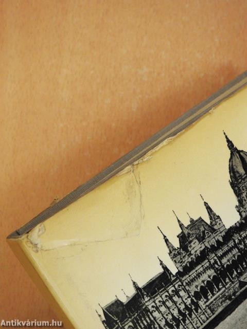 Kormányzati politika és parlamenti ellenzék 1910-1914 (dedikált példány)