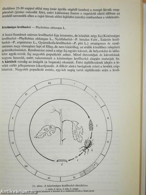 Kertészeti növényvédelem (dedikált példány)
