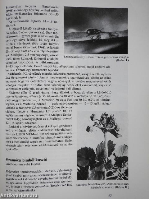 Bogyós gyümölcsűek védelme (dedikált példány)