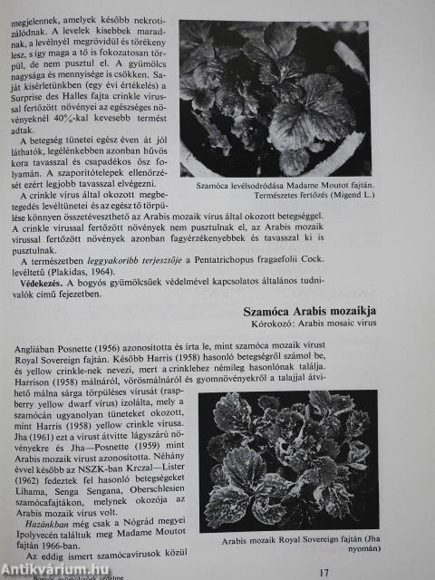 Bogyós gyümölcsűek védelme (dedikált példány)