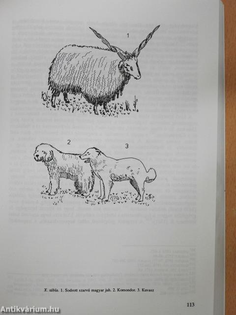 A magyarországi állattartó kultúra korszakai (dedikált példány)