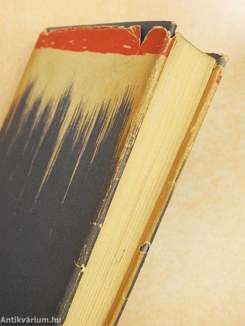 A háromgarasos regény