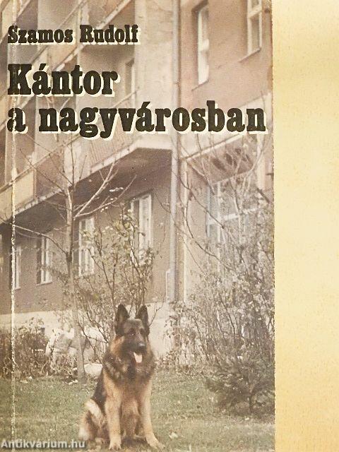 Kántor a nagyvárosban