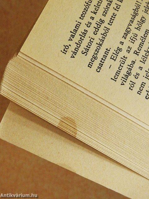 Kántor a nagyvárosban