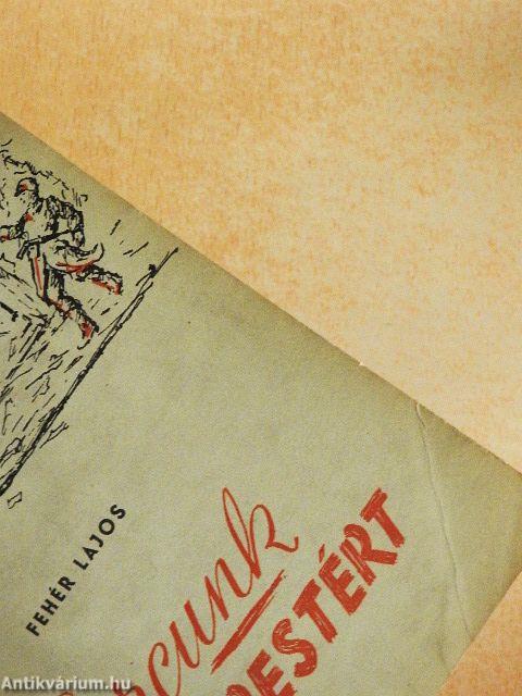 Harcunk Budapestért