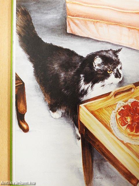 The Illustrated Cats Address Book