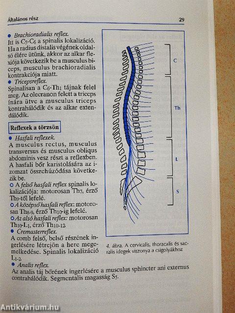 Gerincbetegségekről...