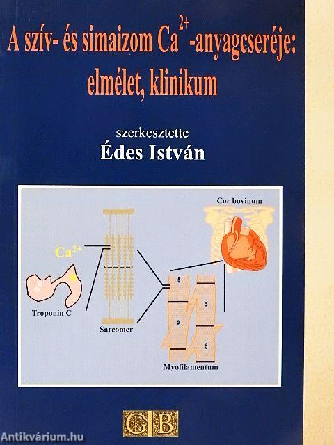 A szív- és simaizom Ca2+-anyagcseréje: elmélet, klinikum