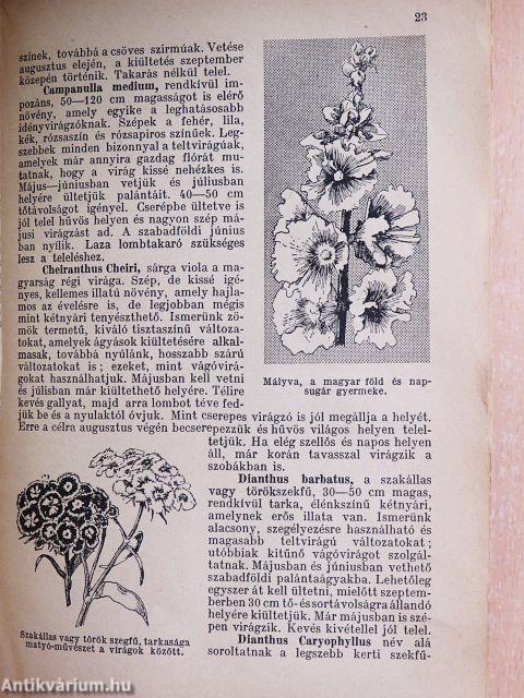 Hogyan készitsük el virágos kertünket