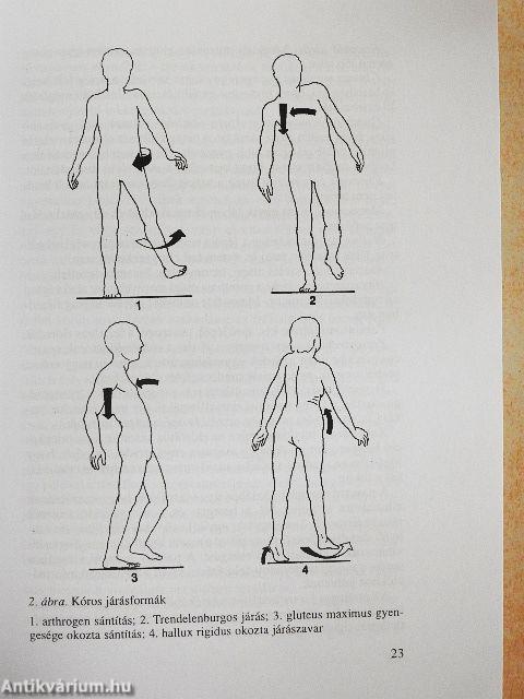 Gyakorlati reumatológia