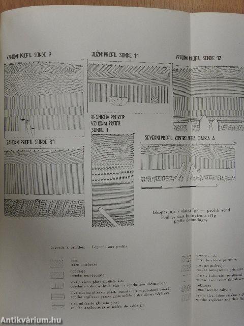 Arheoloski Vestnik XV-XVI