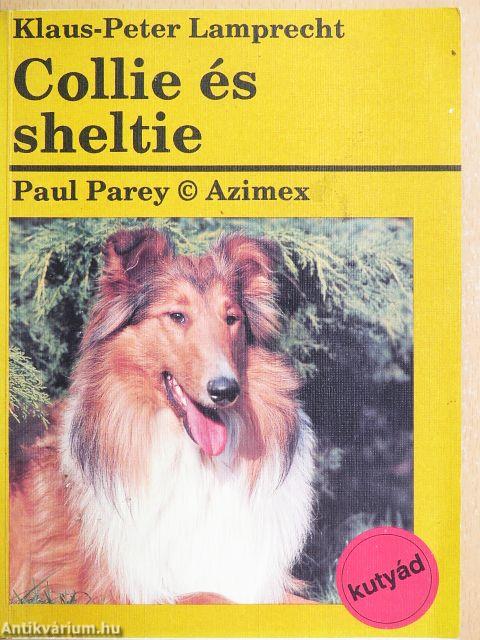 Collie és sheltie