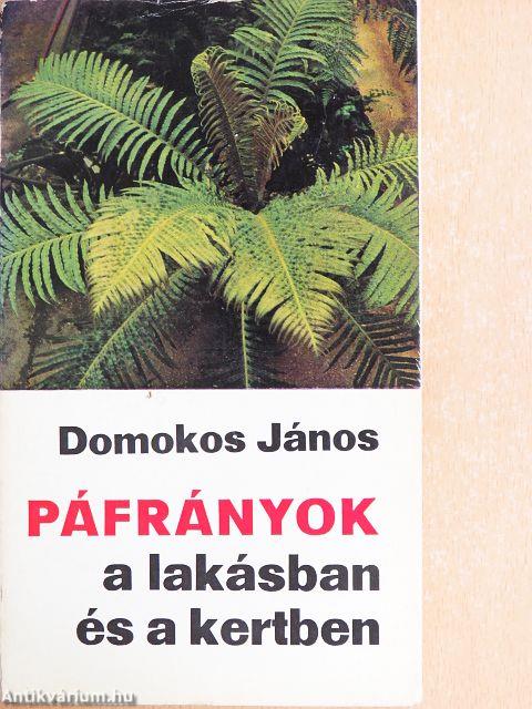 Páfrányok a lakásban és a kertben